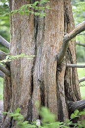 探索解谜游戏《纸间谜迹》现已在Steam平台正式发售